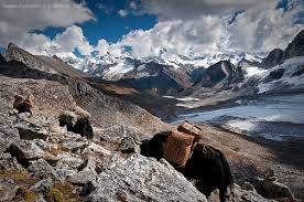 Dagala Thousand Lakes Treks